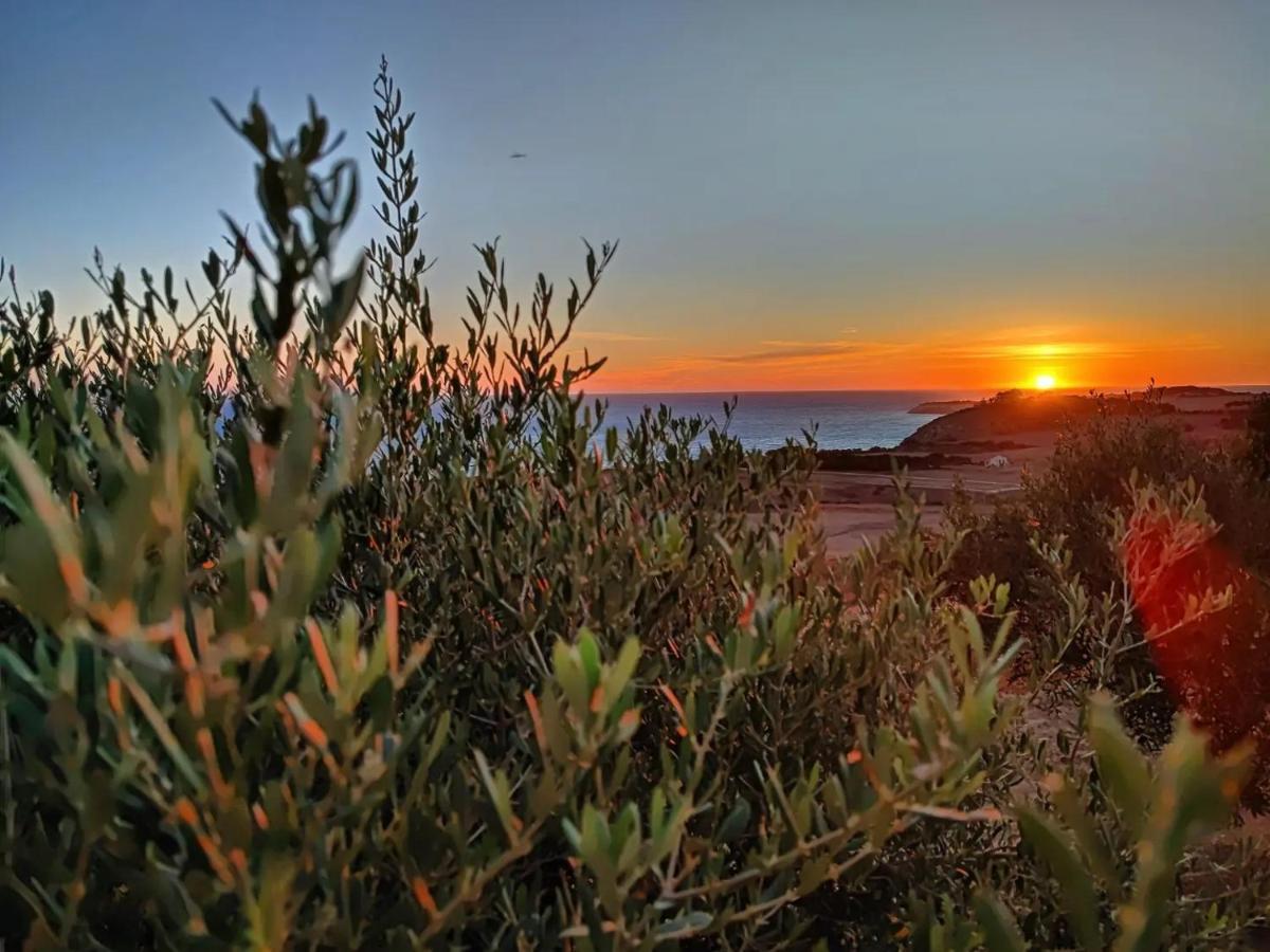 Il Casale Di Bovo Marina Villa Montallegro Dış mekan fotoğraf
